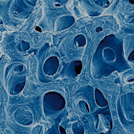 biomaterials