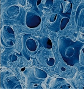 biomaterials-3